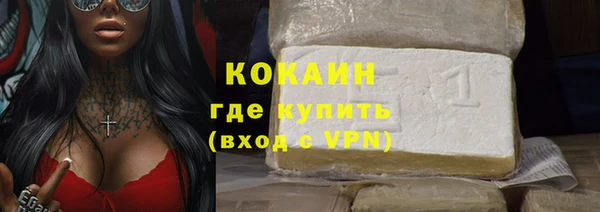 стаф Богданович