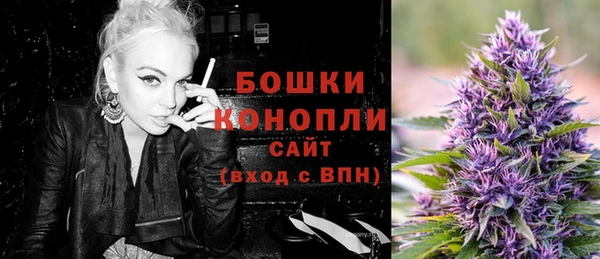 стаф Богданович
