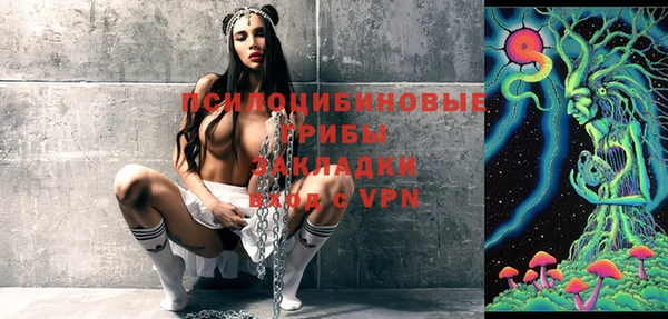 стаф Богданович