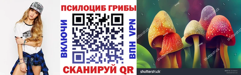 Псилоцибиновые грибы GOLDEN TEACHER  Камышин 