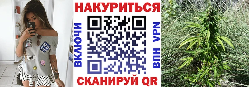 как найти закладки  Камышин  Каннабис семена 